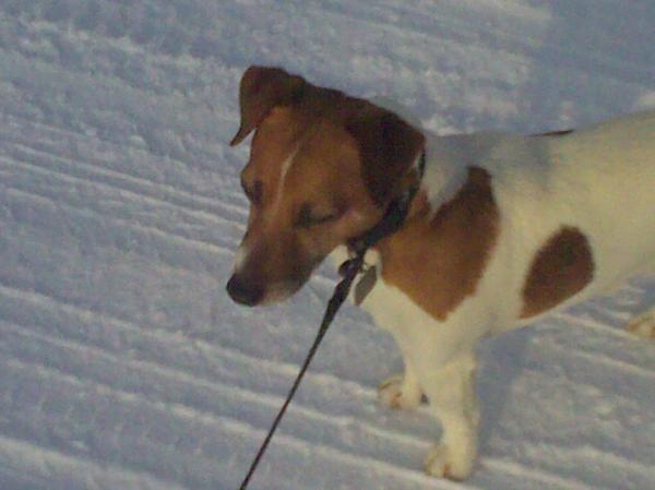 mazzeltje Love's sneeuw