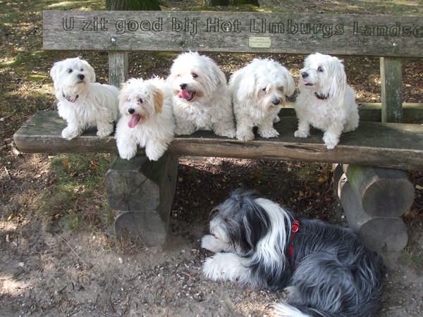 bubbles en de malthezer fam.