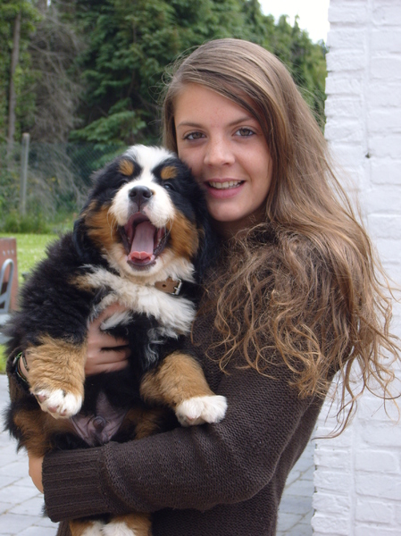liefde