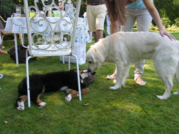 hij werd maar niet wakker