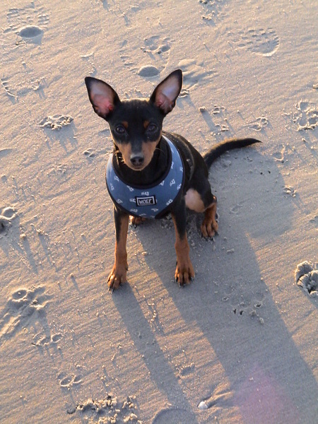 Lina voor het eerst naar de zee HvH