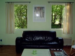 DG045 vakantiehuisin Nijensleek met gratis wireless internet