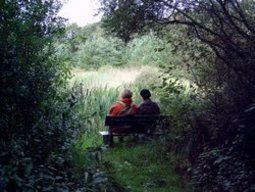 DG045 vakantiehuisin Nijensleek met gratis wireless internet