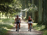 DG045 vakantiehuisin Nijensleek met gratis wireless internet