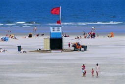 Vakantiehuizen Nederland en Europa