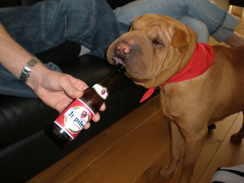 mila haar eerste verjaardag even lekken aan de fles