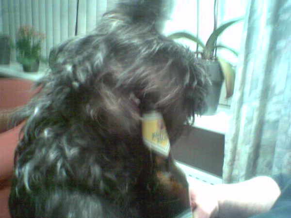 Feestje voor Chelsea