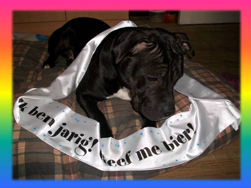 Ik ben jarig, Geef me bier!