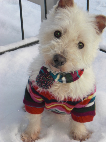 Purdy geniet van sneeuwpret!