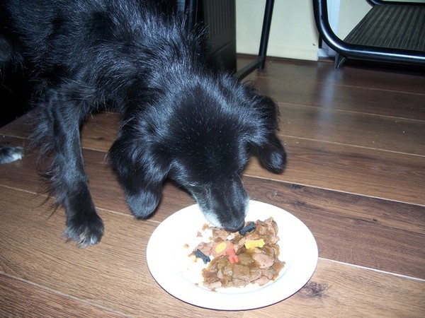 mien eet een taartje!