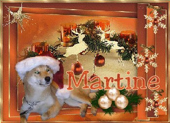 Ares in kerststemming