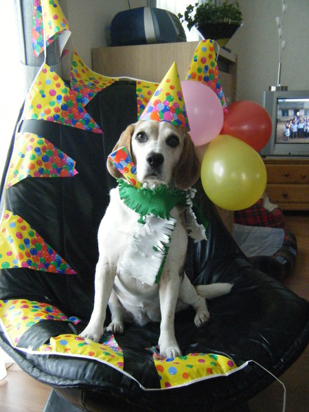 Ja ja alweer 7 jaartjes!