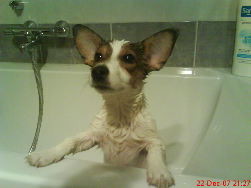 nu ben ik niet meer zo stoer