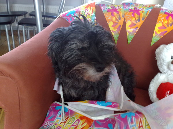 Chelsea´s verjaardag 2009