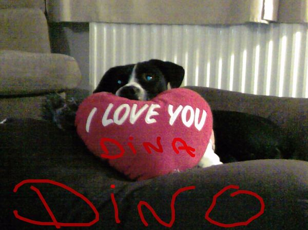 dino in love