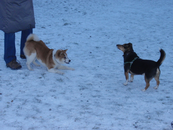 Wie speelt er met mij