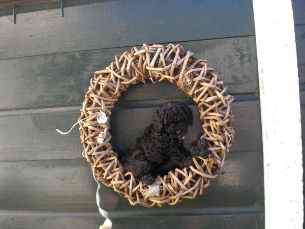 op een standaartje aan de muur