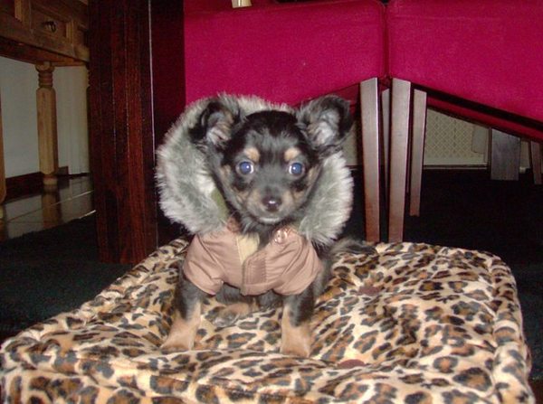 Hij is wel stoer he met zijn jas