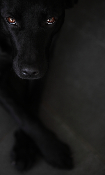 She has got the looks