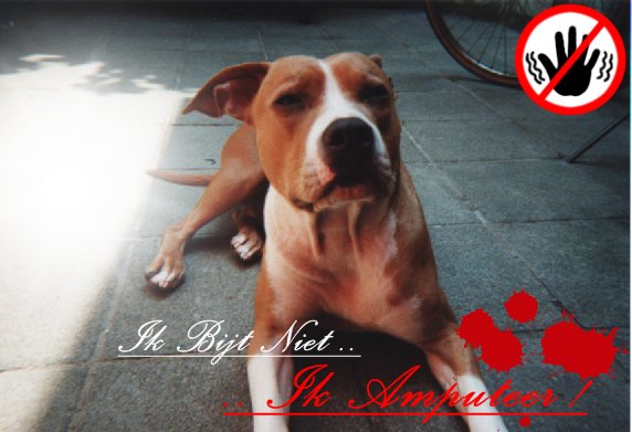 Xena the Warrior Princess