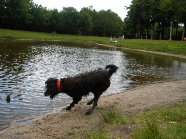 Ruzie met een paaltje