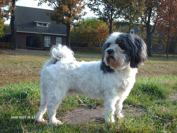 Turbo poseert voor de prachtige boerderijen.