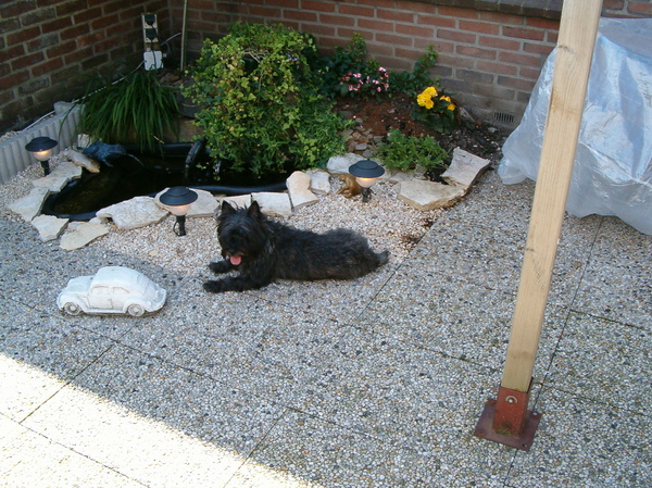 Chelsea bij de vijver.