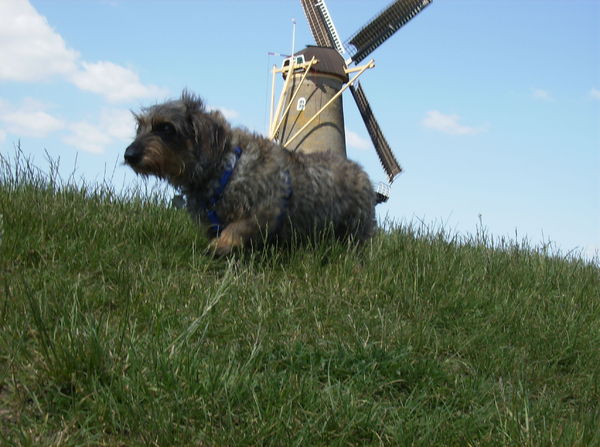 Dribbel bij het Dalempoortje