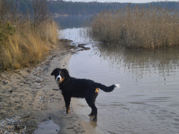 Zyko aan het water ...