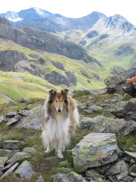 Yenna in Oostenrijk