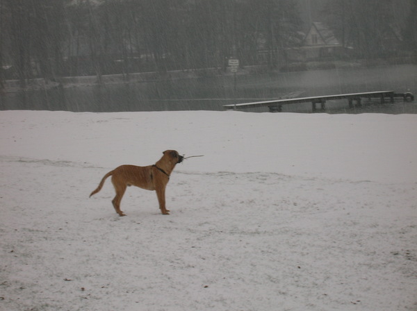 hoezo veel sneeuw...