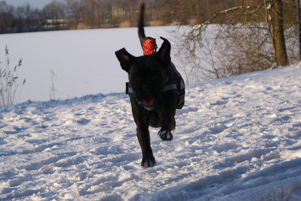 Zet je beste beentje voor !