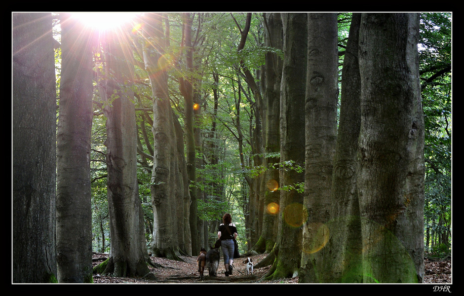 Bikkel(tje), Bentley & Wolf