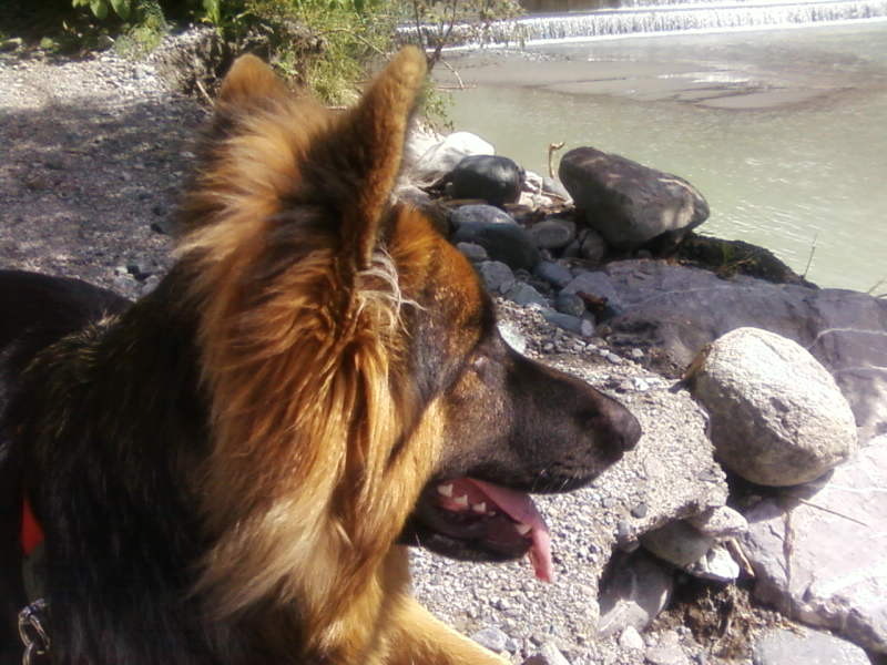 Sissi in Schruns (Oostenrijk)