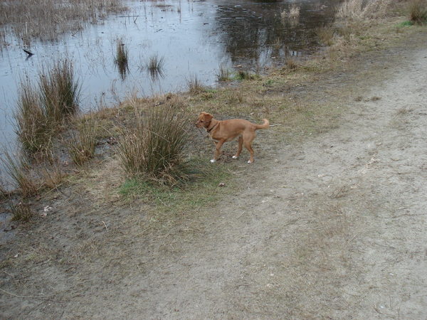 heerlijk wandelen en rennen...