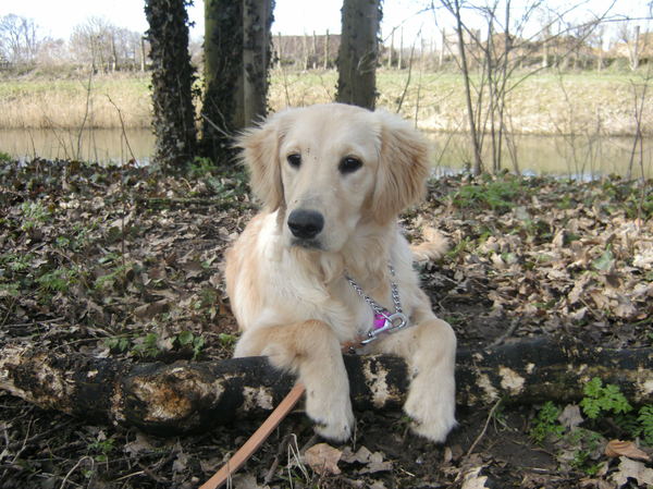 Mijn lekkere schat in het bos..