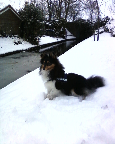 Een prinsje in de sneeuw!
