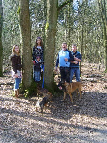 in het bos zij de wilde dieren