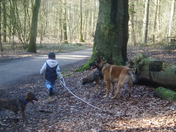 dingo en jp aan de wandel in het bos