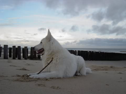 Mexx on mooie omgeving