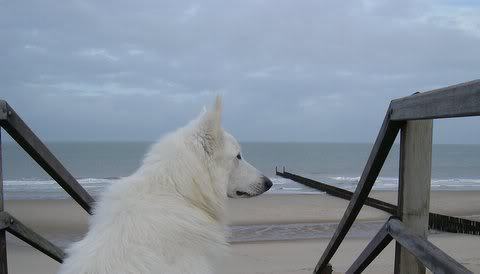 mexx in mooie omgeving