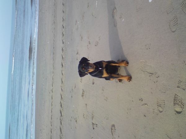 Voor het eerst op het strand