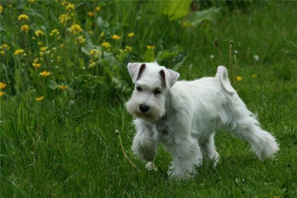 wat leuk is het hier