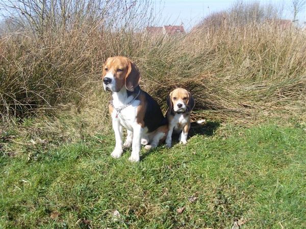 Kay en Zoëy voor het eerst op vakantie