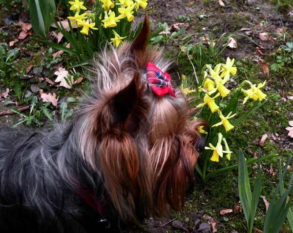 Mandy vindt de omgeving prachtig nu het lente is.