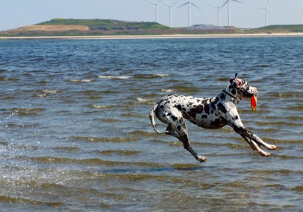 Dudley over het water