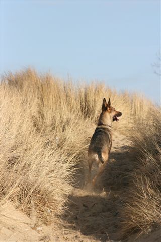 ons heerlijke strand