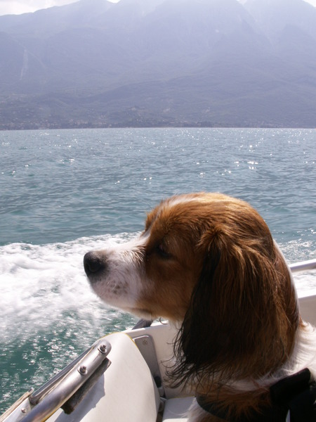 in een boot op het gardameer