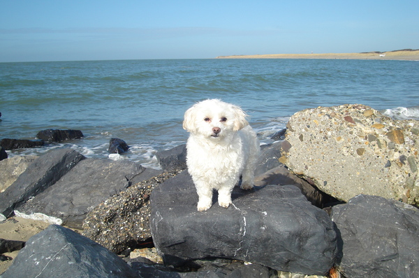 Quinty onze beachbabe
