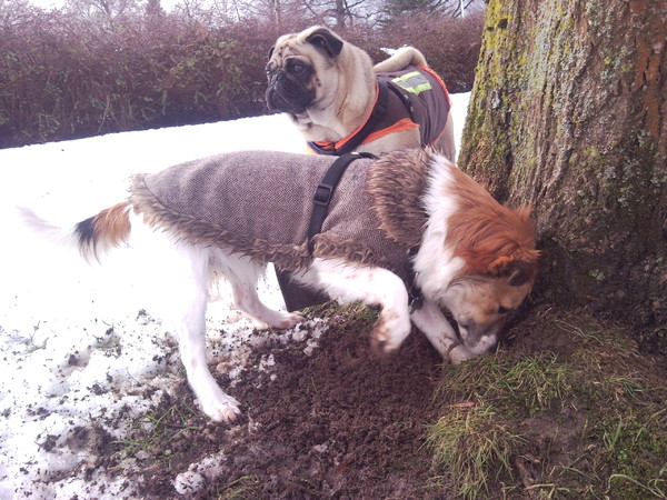 Nog maar een klein stukje...